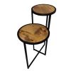 Two Tier Round Wooden Side Table with Metal Frame, Brown and Brass