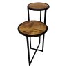 Two Tier Round Wooden Side Table with Metal Frame, Brown and Brass
